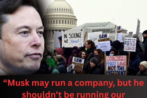 Elon Musk Faces Backlash Over Federal Layoffs