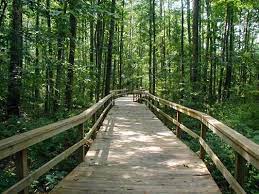 fun activities for families in Greensboro NC