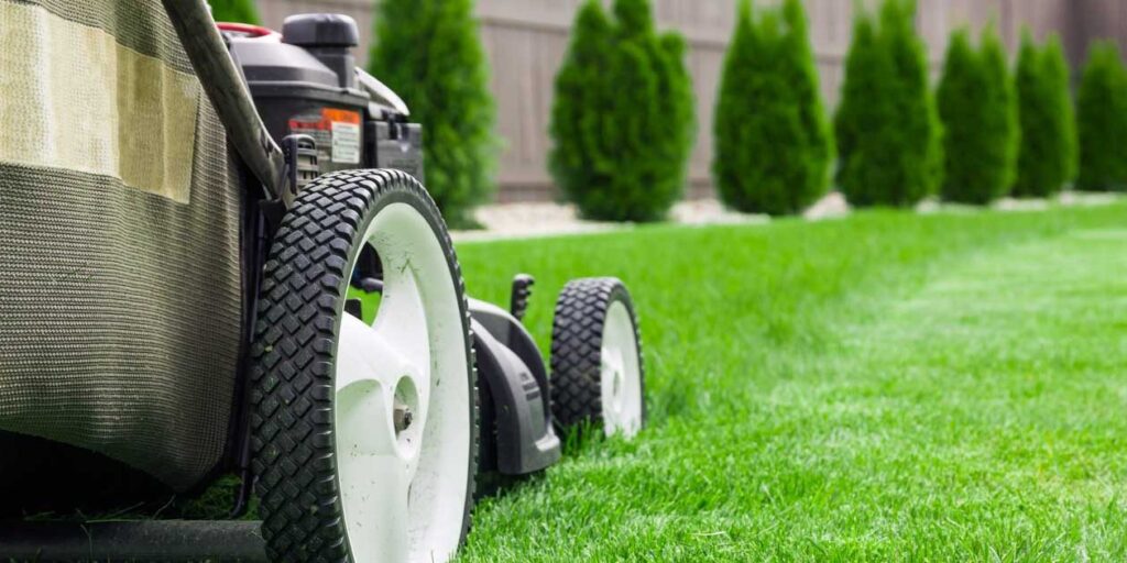 LawnCare Companies in Greensboro
