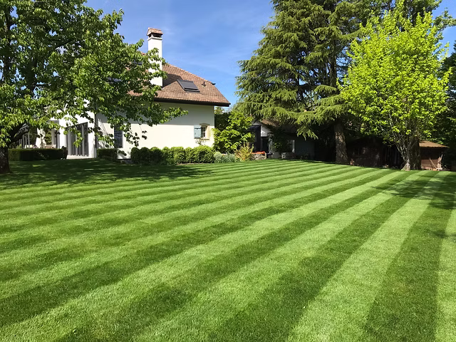 LawnCare Companies in Greensboro
